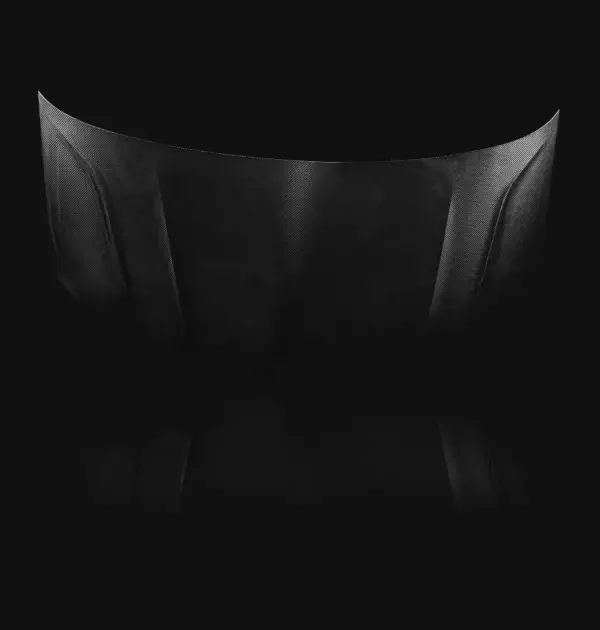 Leichte Carbon-Motorhaube für den VANYX MAN TGE